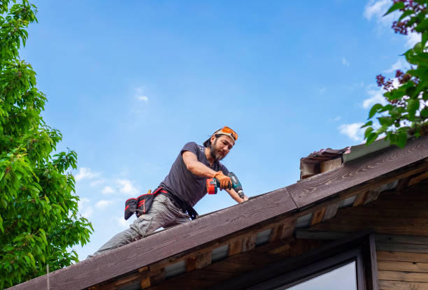 Best Roof Coating and Sealing  in Sevierville, TN